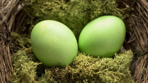 Zelený čtvrtek a velikonoční pátračka