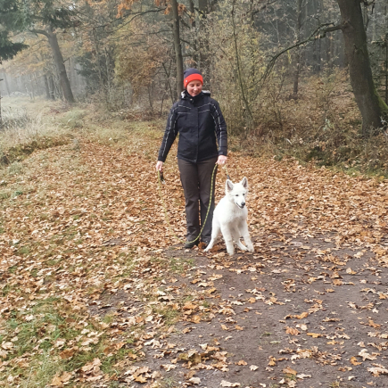 Putování za bělouškem sv. Martina