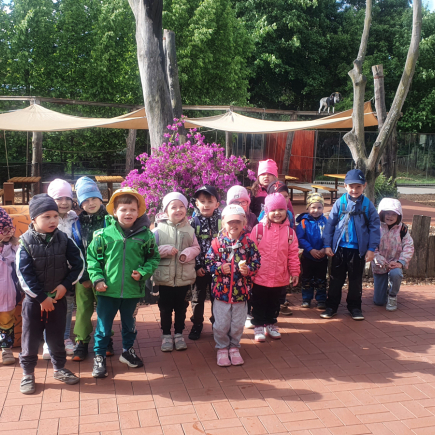 Návštěva ZOO