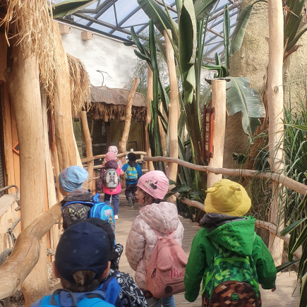 Návštěva ZOO