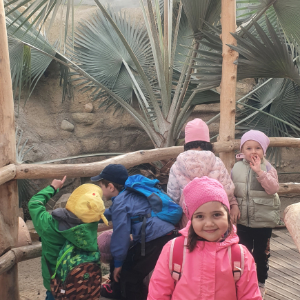 Návštěva ZOO