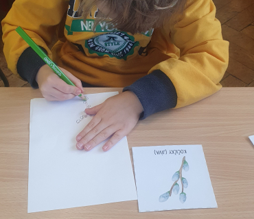 Jaro v přírodě - čápi