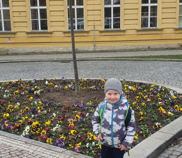 Jaro v přírodě - čápi