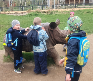Zvířátka ze ZOO