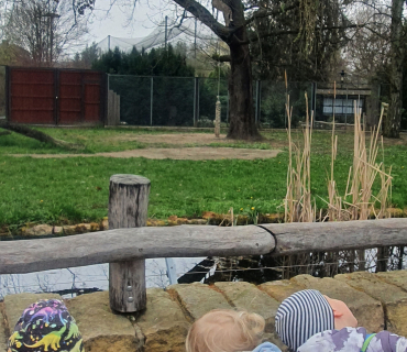 Zvířátka ze ZOO