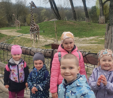 Zvířátka ze ZOO
