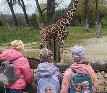 Zvířátka ze ZOO