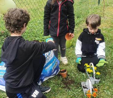 Probouzení zahrádky 