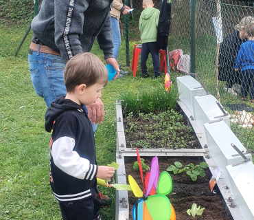 Probouzení zahrádky 