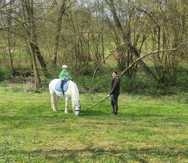 Probouzení zahrádky 