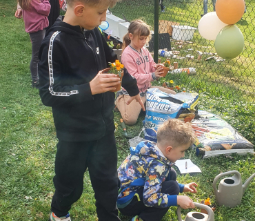 Probouzení zahrádky 