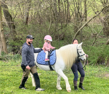 Probouzení zahrádky 